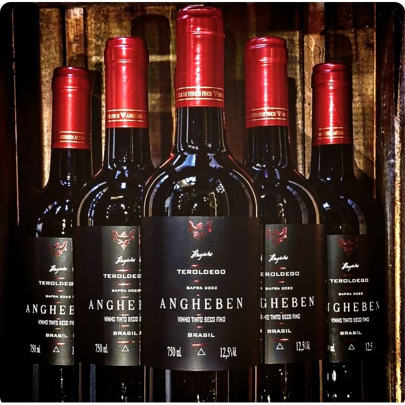 CAIXA VINHO TEROLDEGO 2022