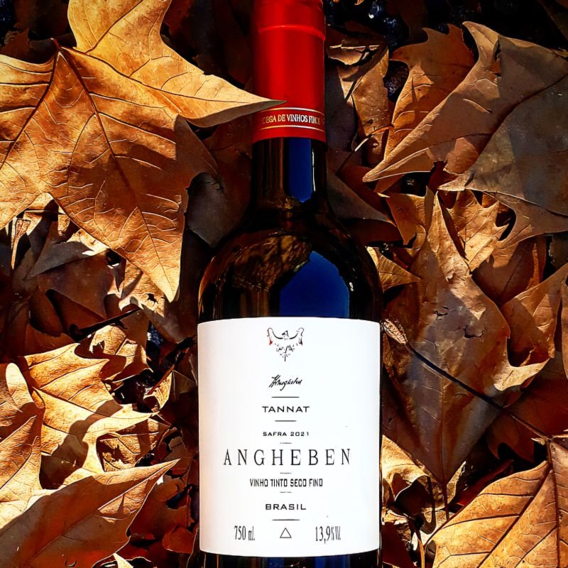 VINHO TANNAT 2021